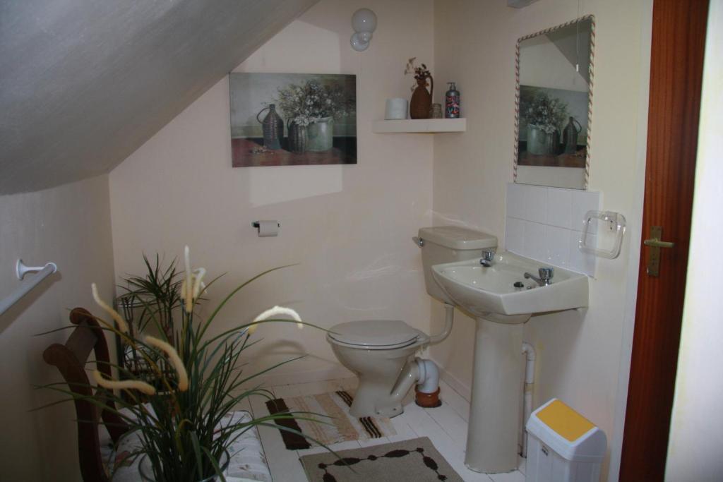 The Old School House B&B Ballinskelligs Rom bilde
